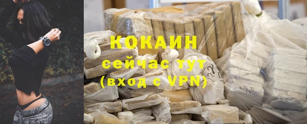 гашик Карпинск