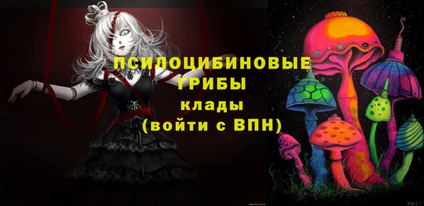 прущий лед Каменногорск