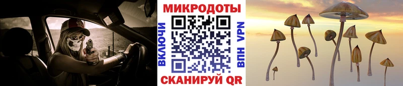 Псилоцибиновые грибы Cubensis  Купить  Ершов 